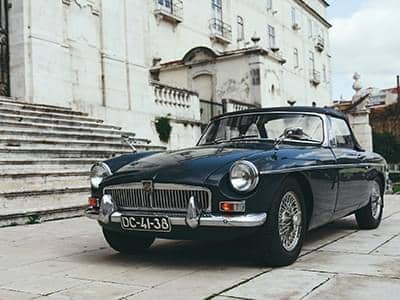 Species Classifications